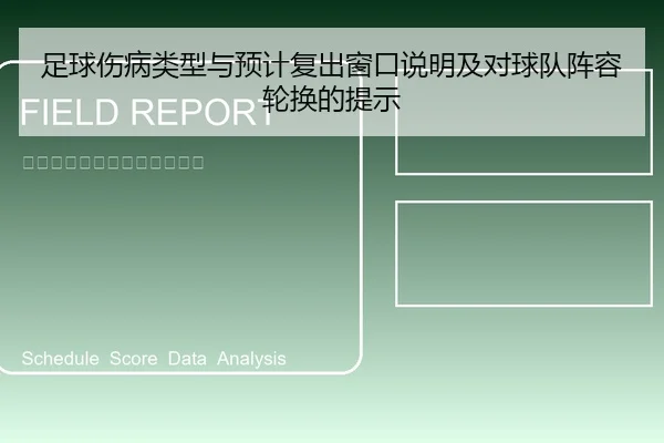 足球伤病类型与预计复出窗口说明及对球队阵容轮换的提示